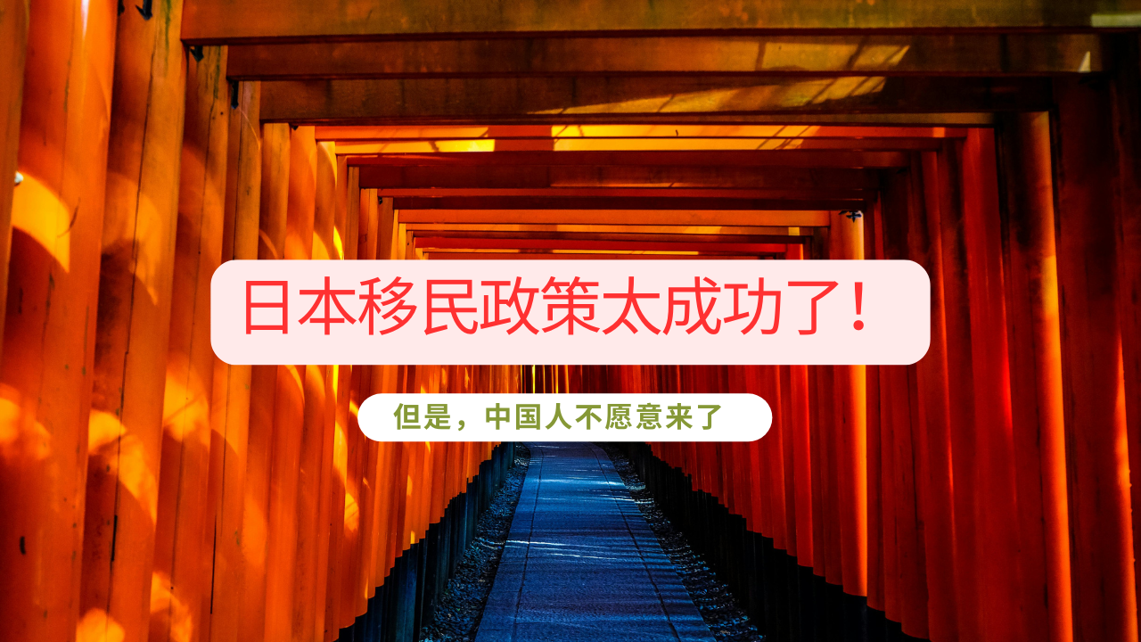 日本移民政策太成功了!我的同学都是20岁青壮劳动力!日本语言学校留学,日本经营管理签证